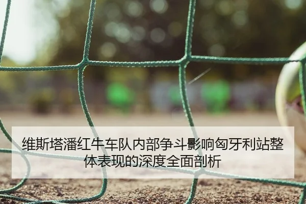 维斯塔潘红牛车队内部争斗影响匈牙利站整体表现的深度全面剖析